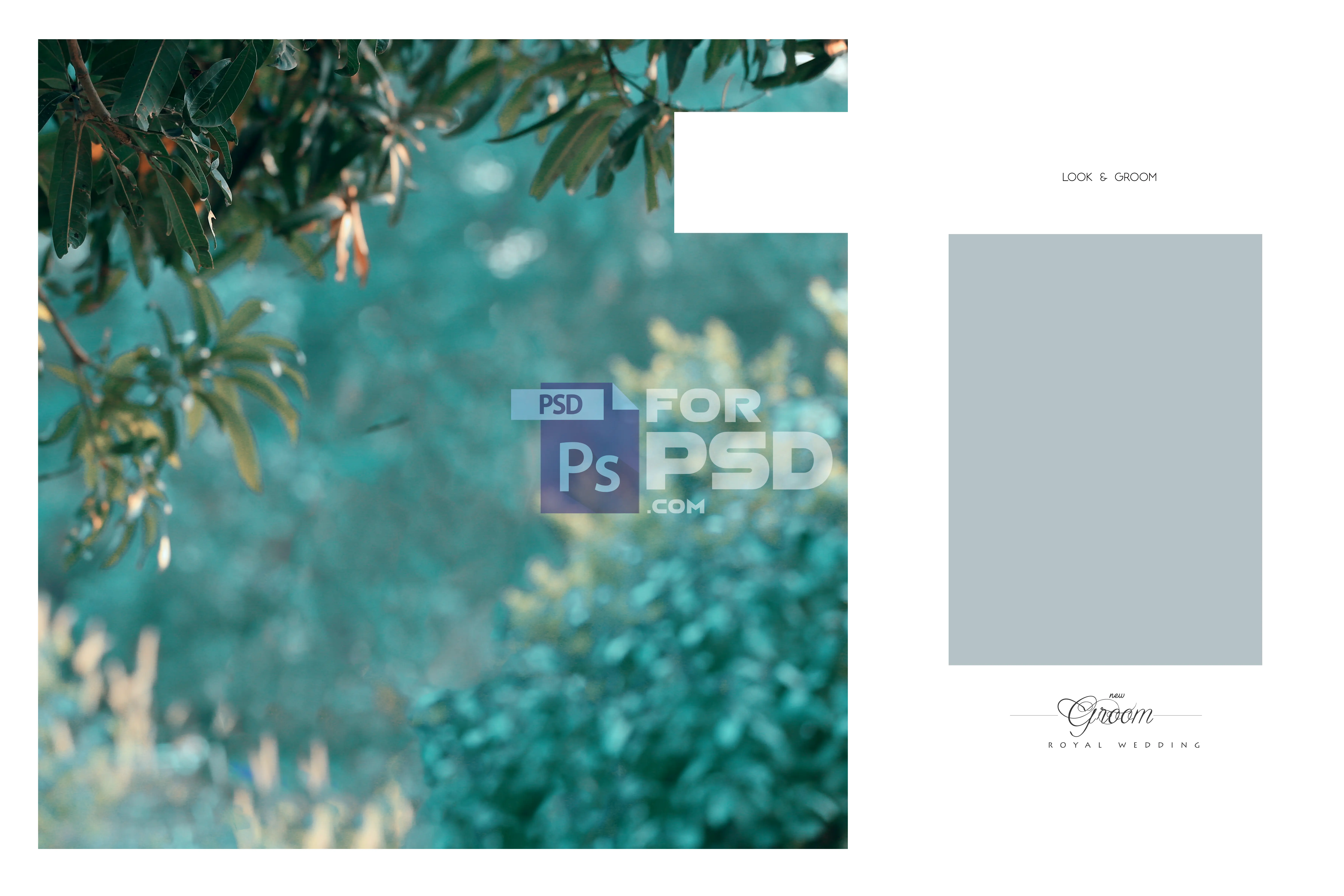 Image Preview